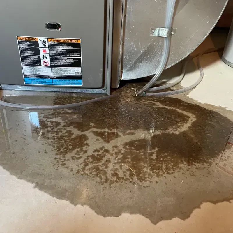 Appliance Leak Cleanup in Douglas County, MO